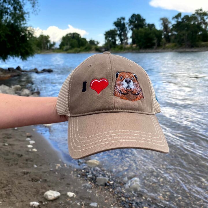 I <3 Beaver Hat
