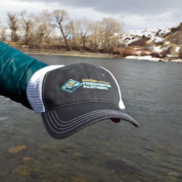 Freshwater Partners "Dad Hat" - Grey