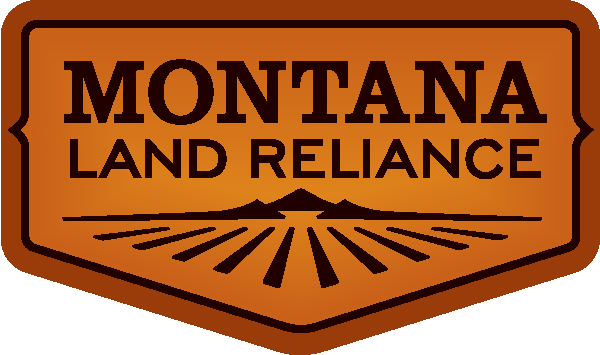 MLR_logo