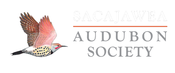 SAS_ColorLogoREV_horiz-600x250