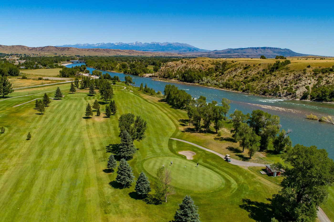 Colorado Columbine purple flower